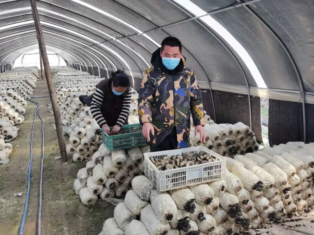 1649817608771906.jpeg 07-58-00-46-283825.jpeg