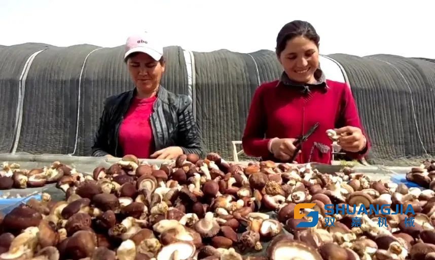 1651802507118745.jpg 09-08-25-13-283825.jpg