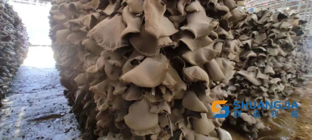 1651886445124733.jpg 12-01-55-44-283825.jpg