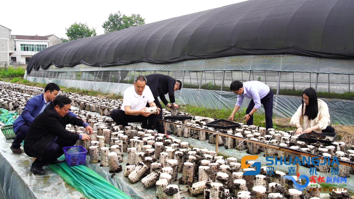 1652492350786985.png 15-39-03-28-283825.png