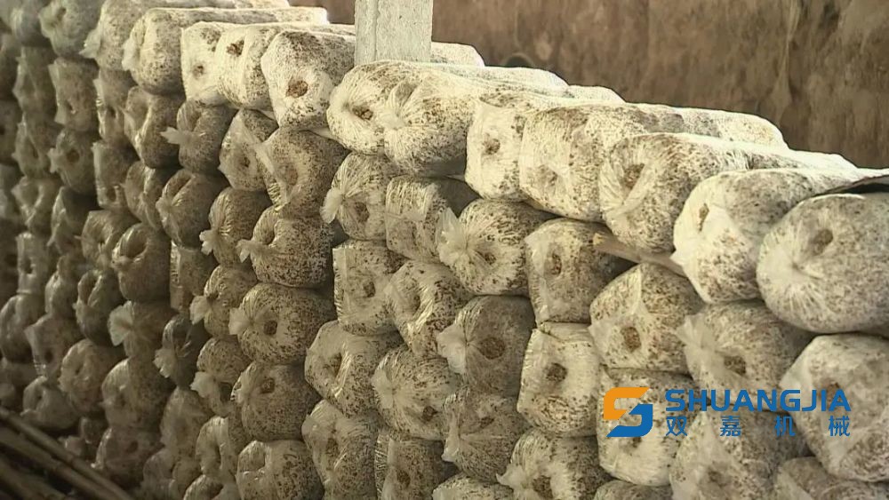 1654053034189559.jpg 1000.jpg