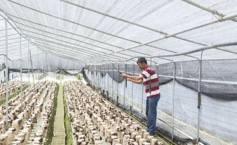 1654739959148453.jpeg 14-23-48-11-283825.jpeg