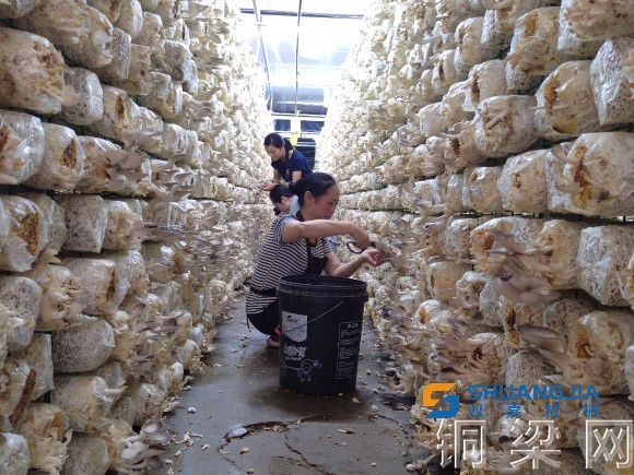 1656466786153420.jpg 15-39-21-35-283825.jpg