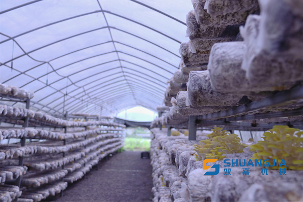 1656814569501604.png 23-24-05-69-283825.png