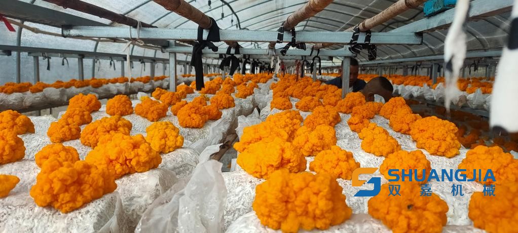 1657509408141233.jpg 21-21-06-59-283825.jpg