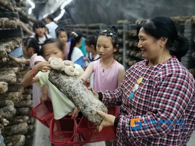 1658627738208266.jpg 22-32-23-83-283825.jpg