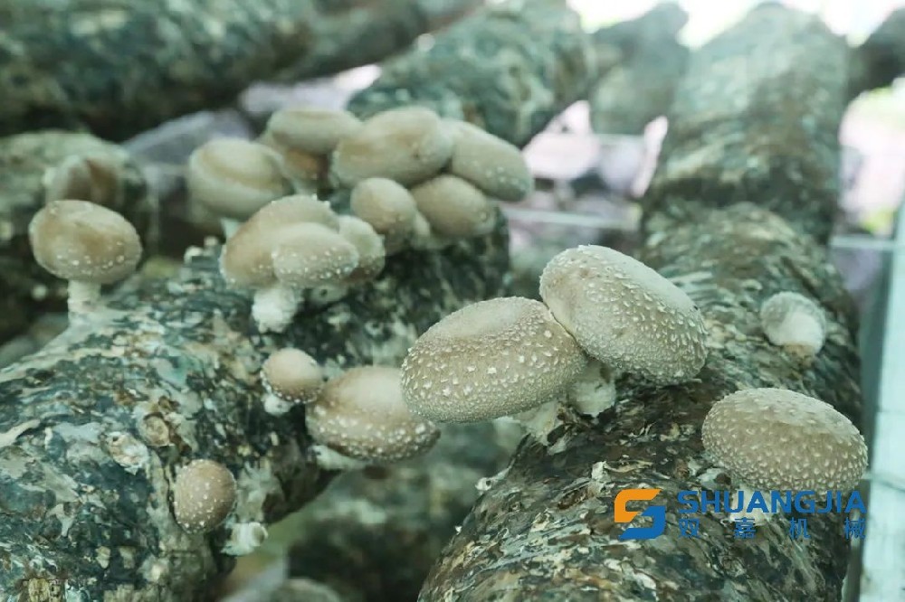 1660528867212192.jpg 08-52-46-48-283825.jpg