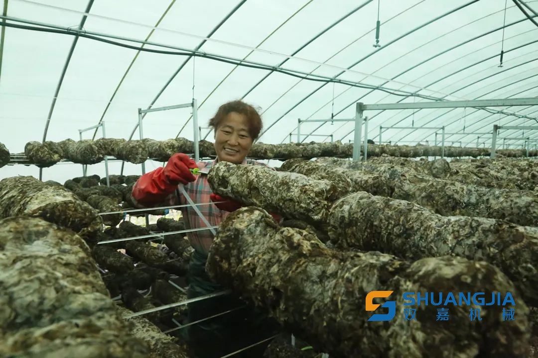 1660528886199641.jpg 08-53-05-45-283825.jpg