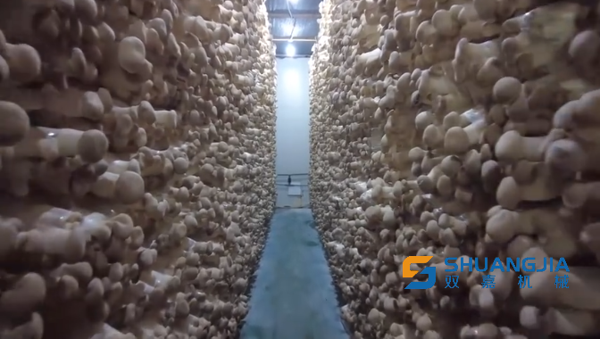 1663162478115148.png 13-30-17-76-283825.png