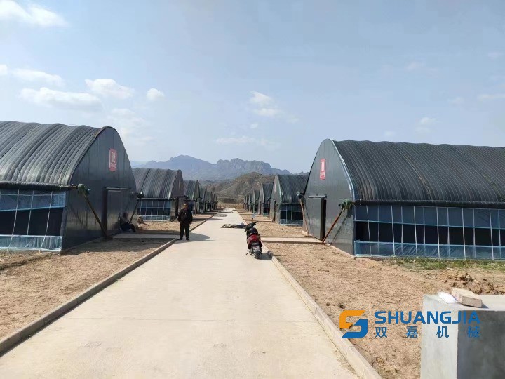 1663308626116840.jpg 1000 (1).jpg