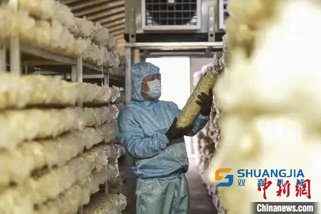 1665021393842305.jpg 1000 (1).jpg