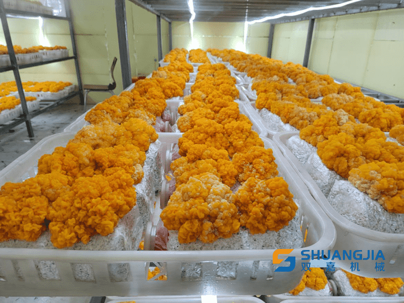 1676644864500135.png 15-34-54-99-283825.png